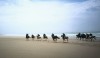 beach2.jpg