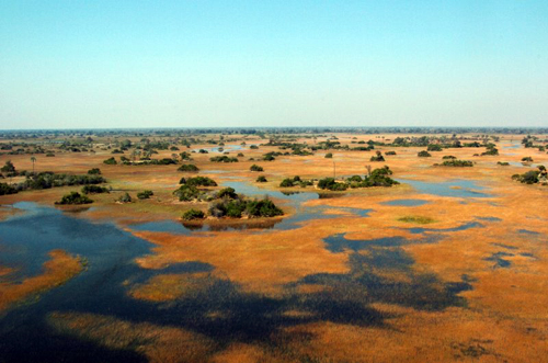 Horse Riding in Botswana Great game herds still roam Botswana in tremendous 