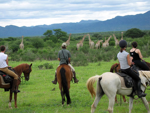 Horse riding Safaris in Namibia