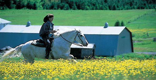 Horse riding vacations in Quebec