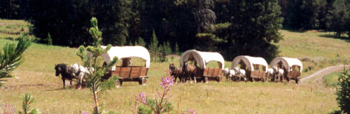 Covered Wagon Trains on horseback