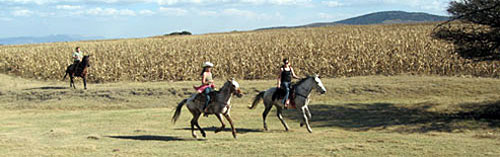 Rancho Mexicana, Mexico