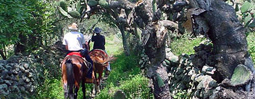 Rancho Mexicana, Mexico
