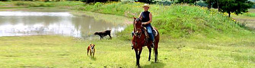 Rancho Mexicana, Mexico