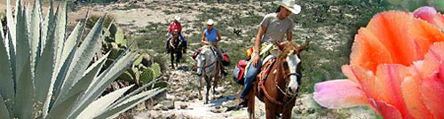Rancho Mexicana, Mexico