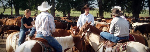 Zapata Ranch