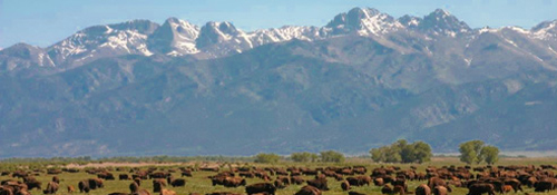 Zapata Ranch