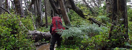 West Coast Trail