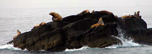 West Coast Trail