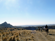 Riding on Peruvian Pasos in Argentina