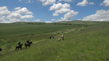 Kakheti Horse Drive