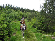 germany forest ride castle horseback europe