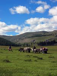 Trails of the Tsaatan Nomads