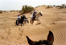 Magic of the Sahara