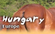 Horseback riding vacations in West Hungary