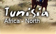 Horseback riding vacations in Tunisia