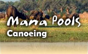 Canoeing vacations in Zimbabwe, Mana Pools
