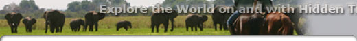 Safaris tours in Zambia