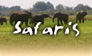 Safaris vacations in Zambia