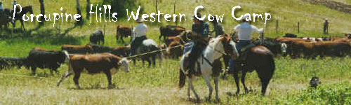 Porcupine Hills Cow Camp
