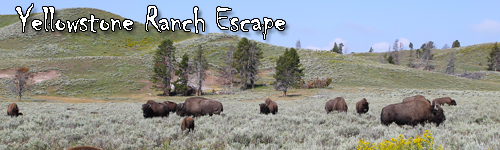 Yellowstone Ranch Escape
