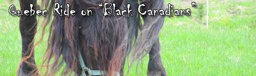 Quebec Ride on "Black Canadians"