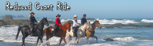 Redwood Coast Ride