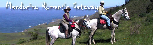 Mendocino Coast Getaway