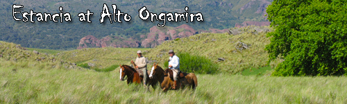 Estancia at Alto Ongamira