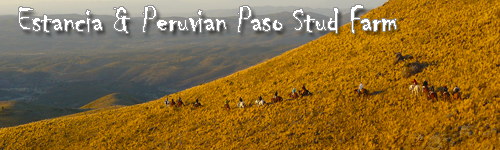 Estancia & Paso Stud Farm at San Pedro Norte