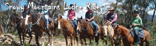Snowy Mountains Lodge Getaway