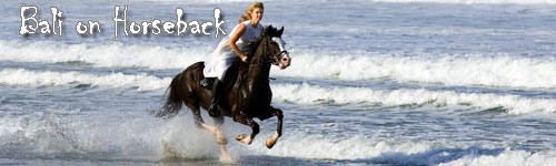Bali on Horseback