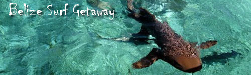 Belize Surf Getaway