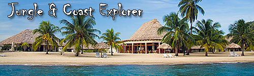Jungle & Coast Explorer