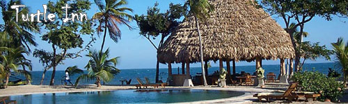 Surf Getaway at the Turtle Inn