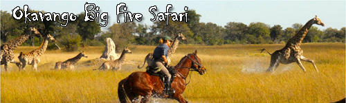 Okavango Big Five Safari