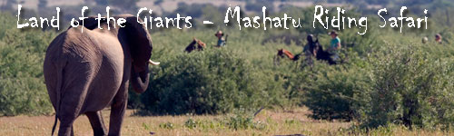 Land of the Giants - Mashatu Deluxe Safari