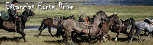 Torres del Paine - Estancias Horse Drive
