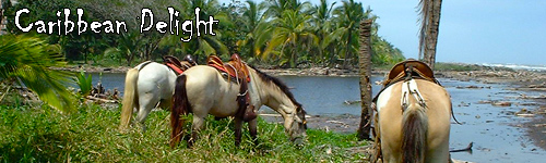 Caribbean Delight