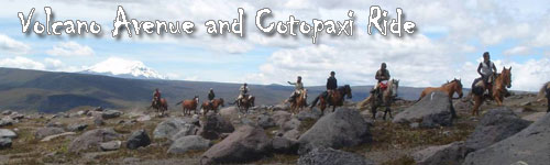 Volcano Avenue and Cotopaxi Ride