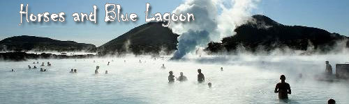 Horses and Blue Lagoon