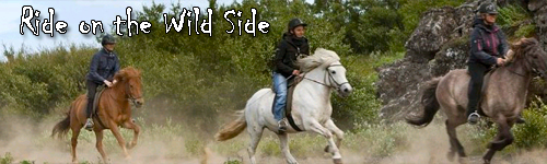 Ride on the Wild Side