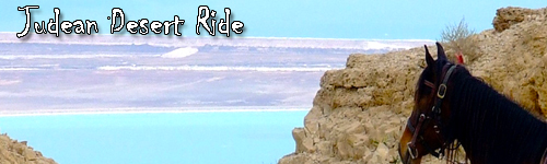 Judean Desert to the Dead Sea Ride