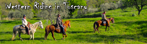 Western Riding in Tuscany
