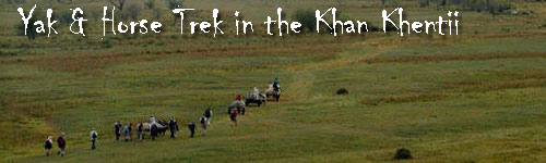 Yak & Horse Trek in the Khan Khentii