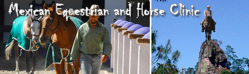 Mexican Equestrian and Horse Clinic