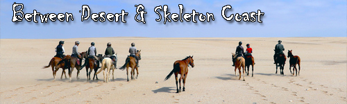 Between Desert & Skeleton Coast