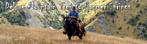 Deluxe Mountain Trek to Hanmer Springs