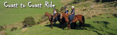 Trans New Zealand Ride - Coast to Coast