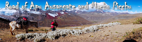 The Road of Apu Ausangate and Machu Picchu